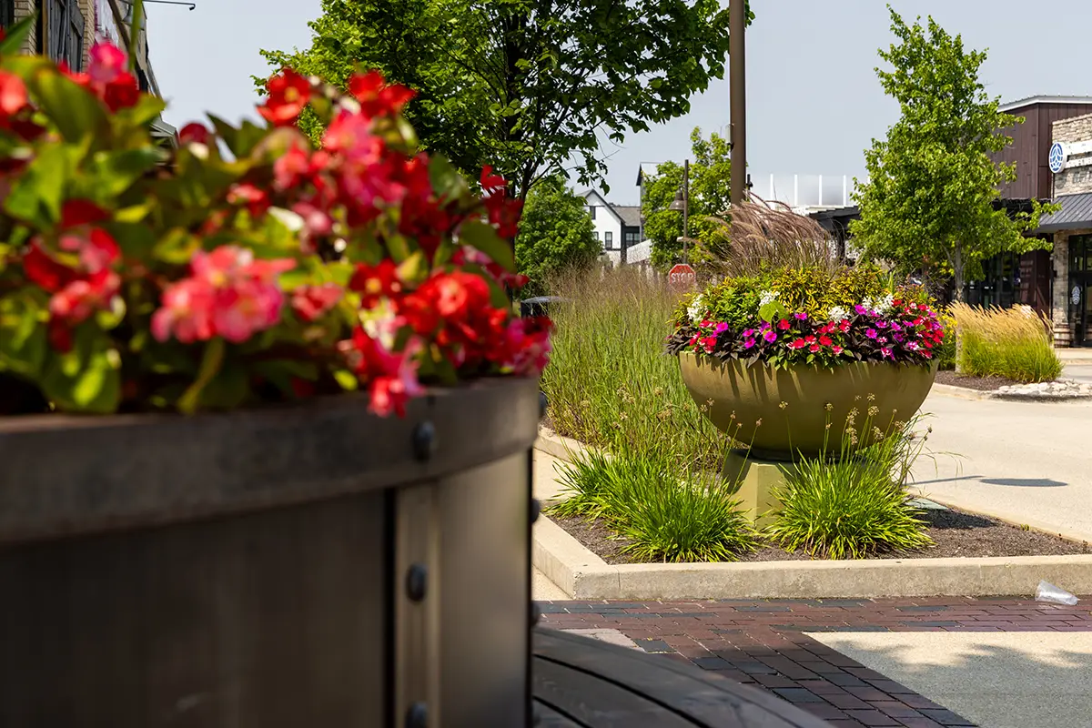 Commercial Landscape Enhancements