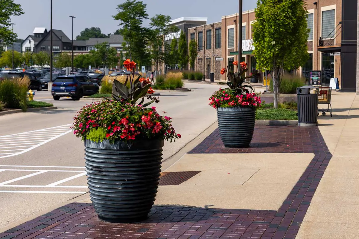 Enhancements, seasonal flowers